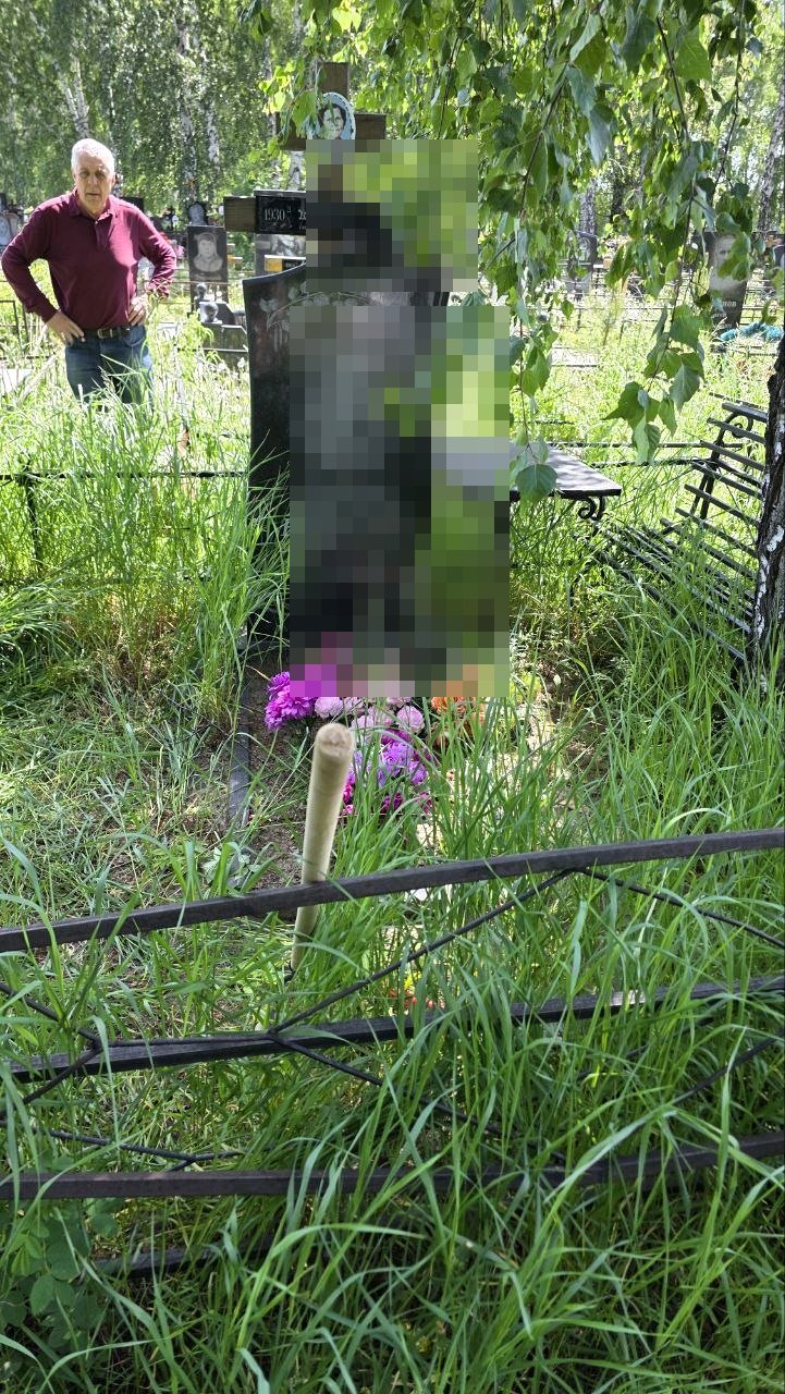 Участок до благоустройства